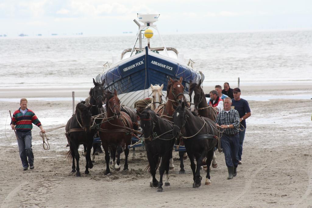 Sier Aan Zee Hostel Hollum  Luaran gambar