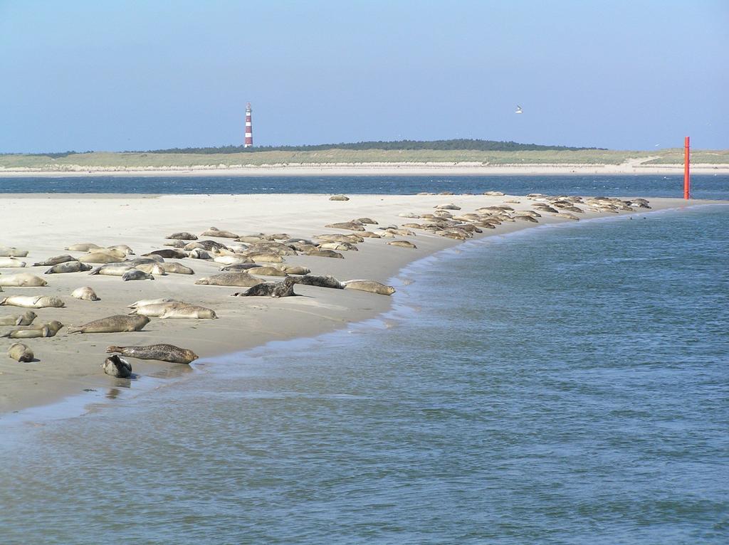 Sier Aan Zee Hostel Hollum  Luaran gambar